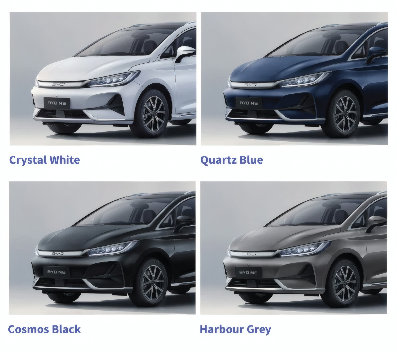 BYD M6 Colours
